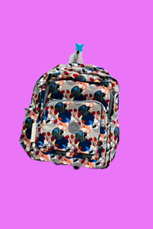 College Back Pack