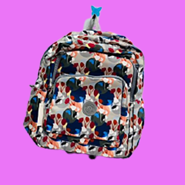 College Back Pack