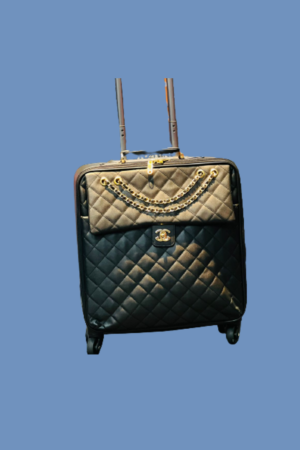 Pilot Trolly bag
